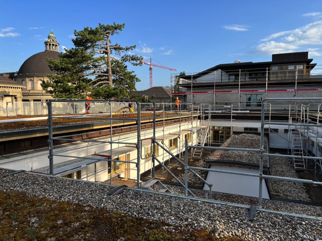 EC27DDAC-770E-4472-825D-A88D285A81A7_1_105_c